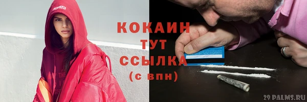 прущие крисы Арсеньев