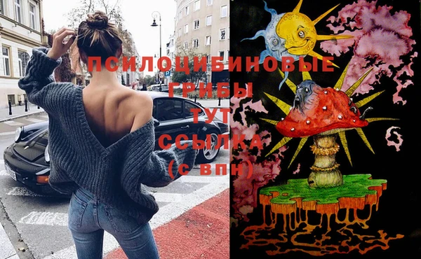 твердый Аркадак