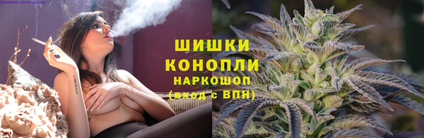 прущие крисы Арсеньев