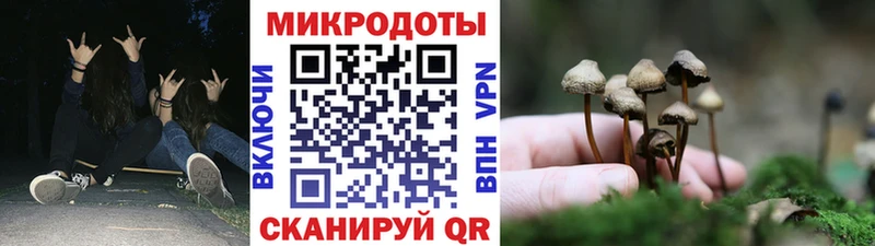 хочу   Сибай  Псилоцибиновые грибы мицелий 