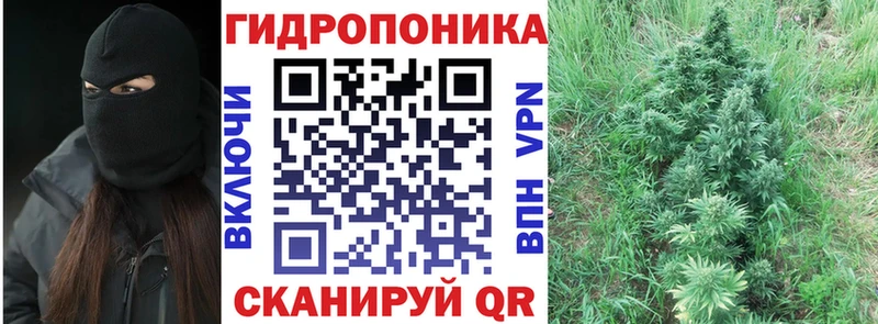 Шишки марихуана конопля  Сибай 